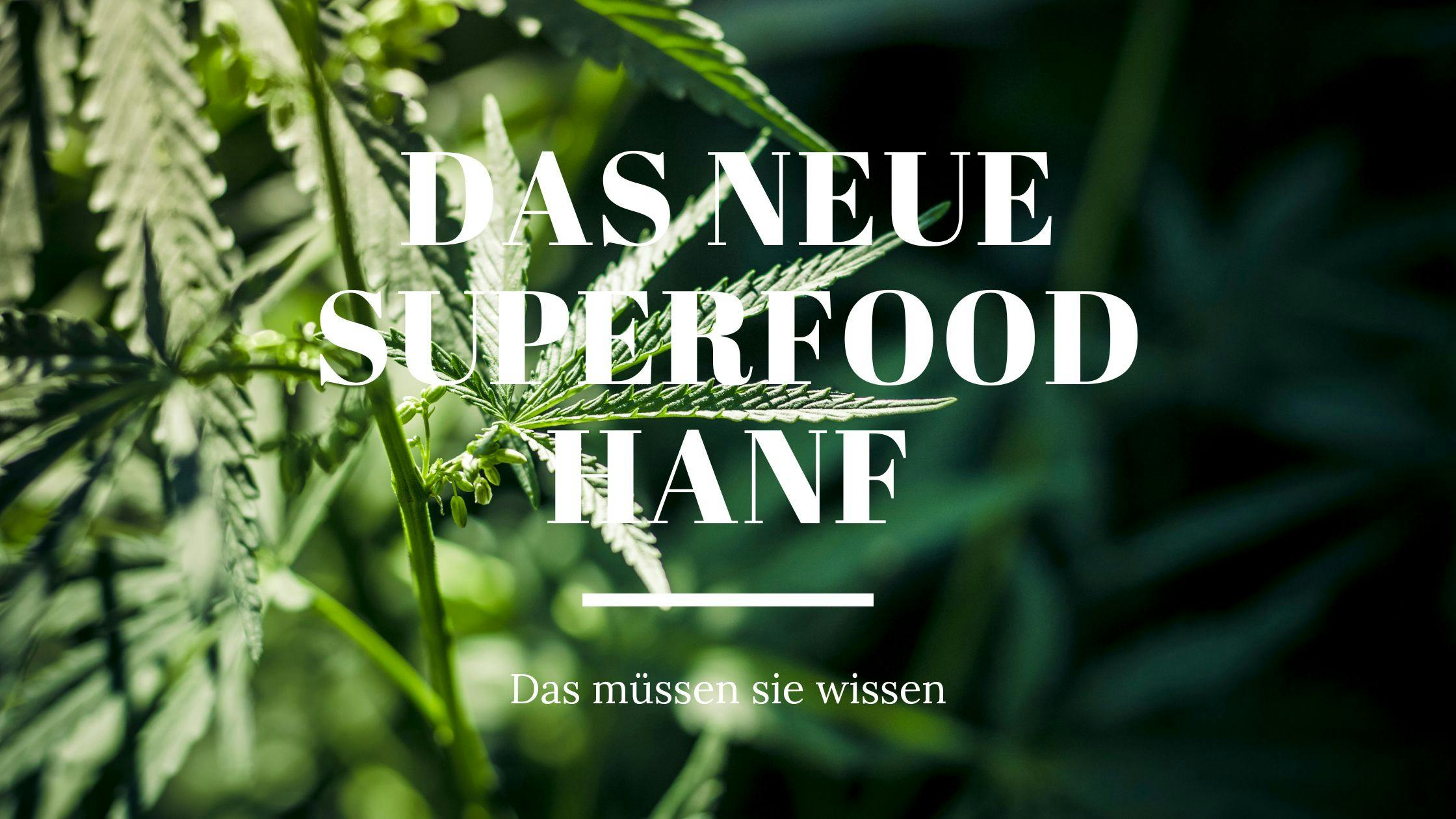 Das neue Superfood Hanf - Das müssen sie wissen