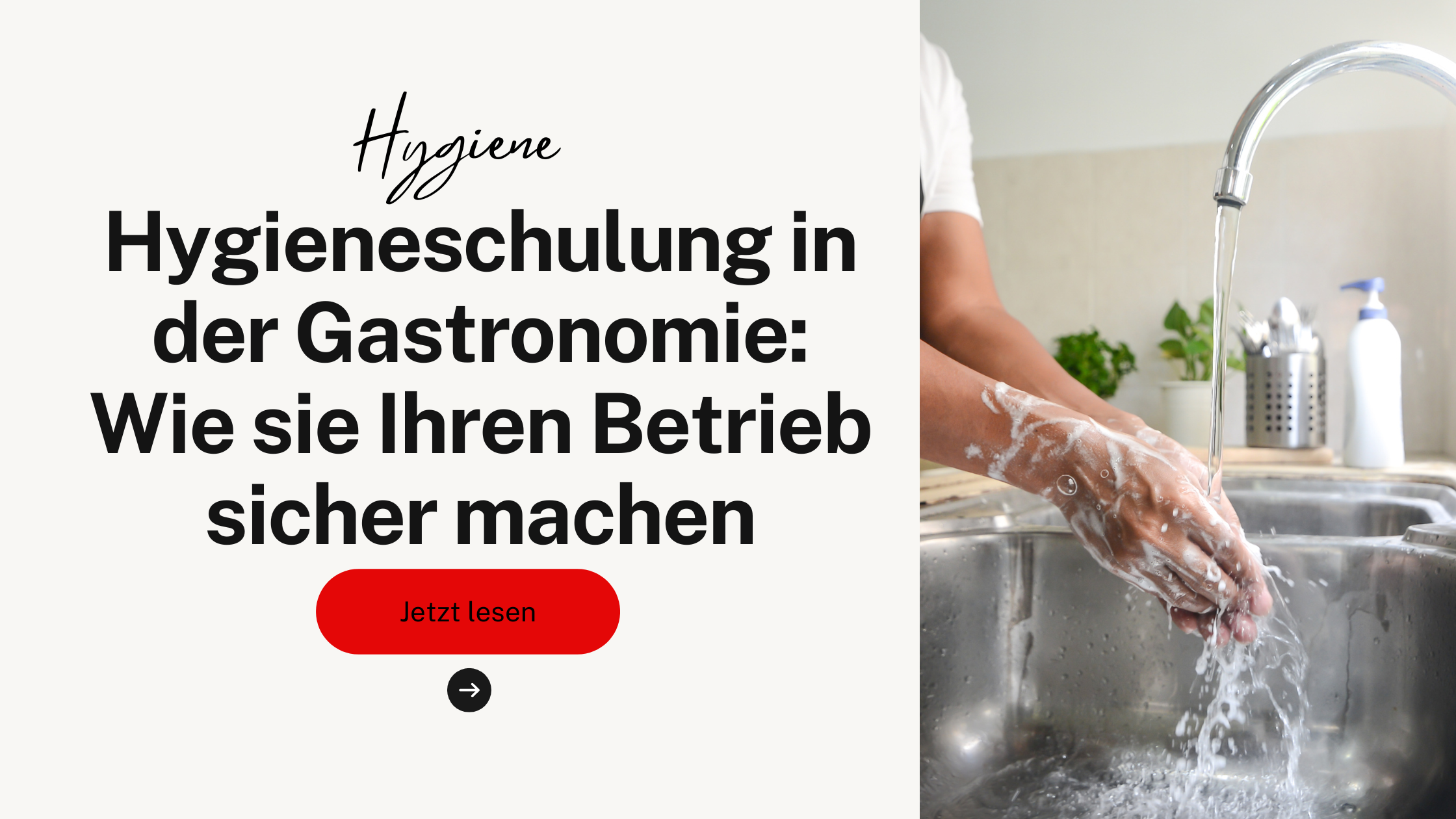 Hygieneschulung in der Gastronomie: Wie sie Ihren Betrieb sicher machen