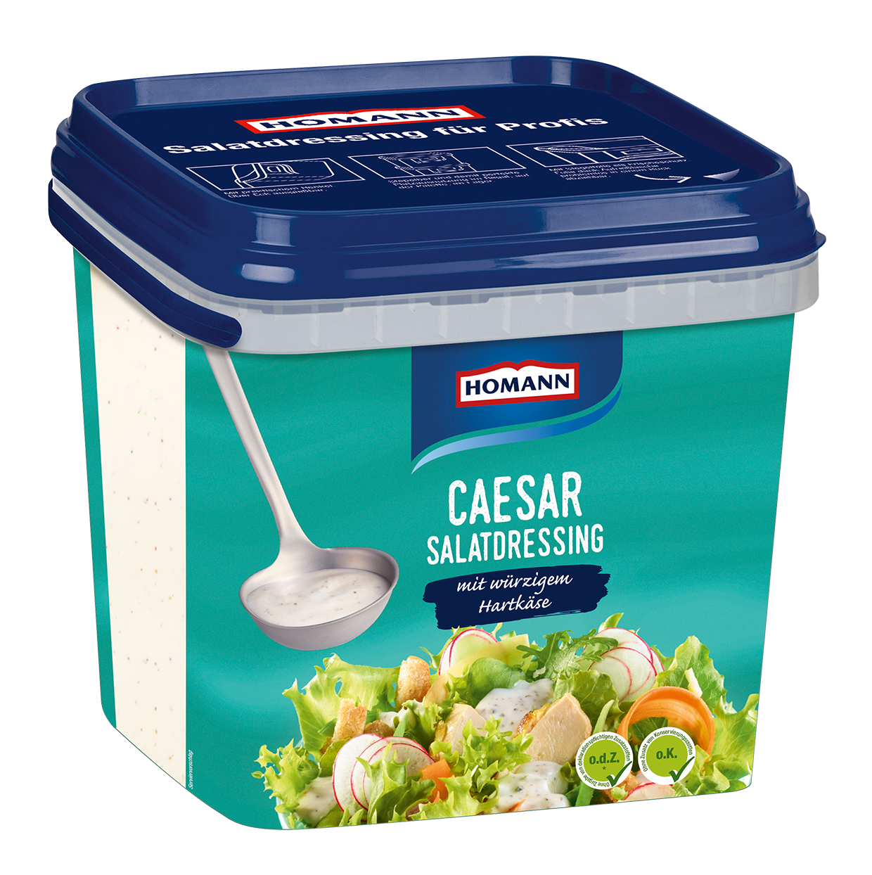 HOMANN Salatdressing Caesar 4l
