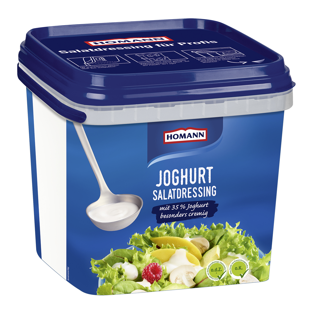 HOMANN Salatdressing Joghurt 4l